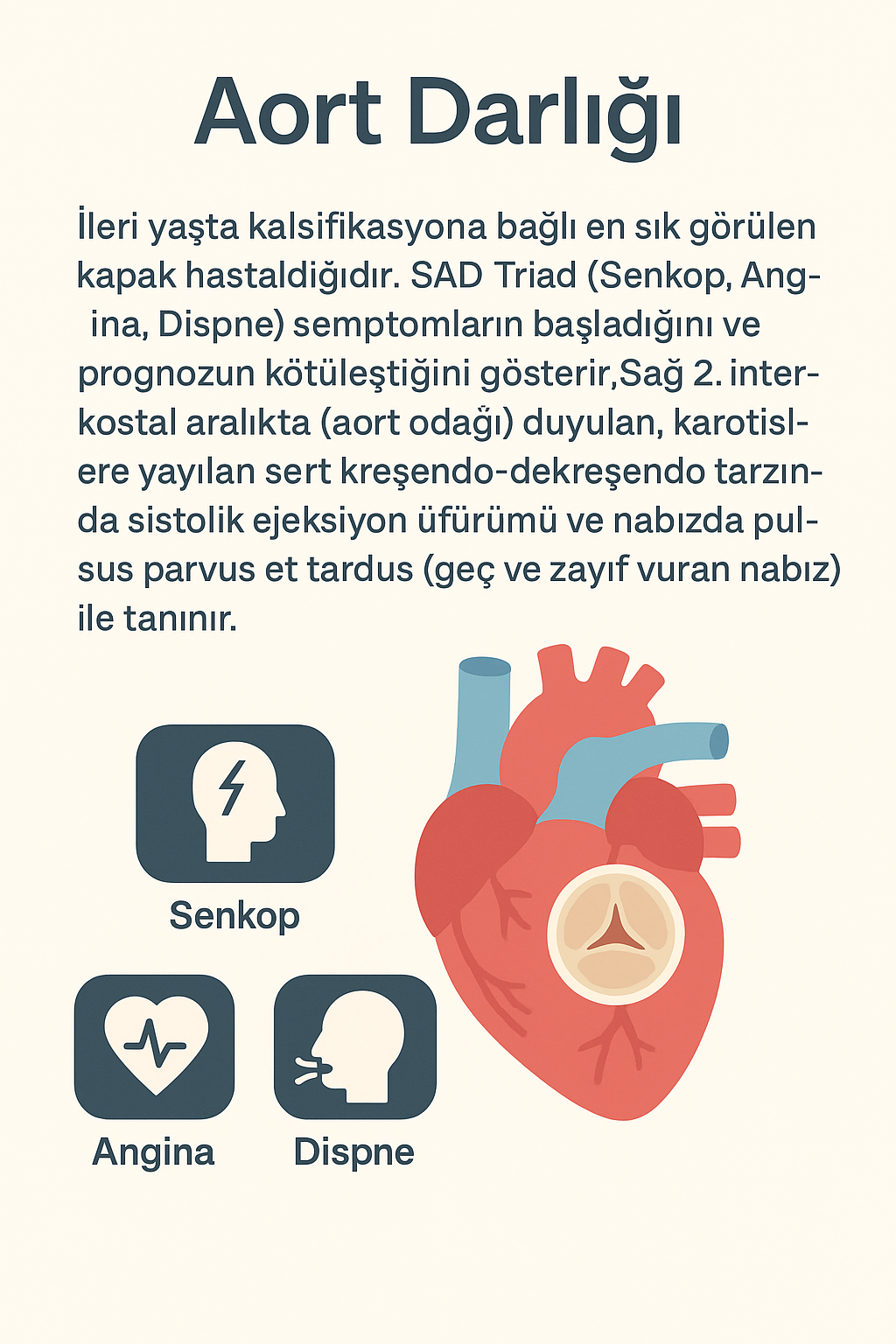 Aort Darlığı: İleri yaşta kalsifikasyona bağlı en sık görülen kapak hastalığıdır. SAD Triadı (Senkop, Angina, Dispne) semptomların başladığını ve prognozun kötüleştiğini gösterir. Sağ 2. interkostal aralıkta (aort odağı) duyulan, karotislere yayılan sert kreşendo-dekreşendo tarzında sistolik ejeksiyon üfürümü ve nabızda pulsus parvus et tardus (geç ve zayıf vuran nabız) ile tanınır.