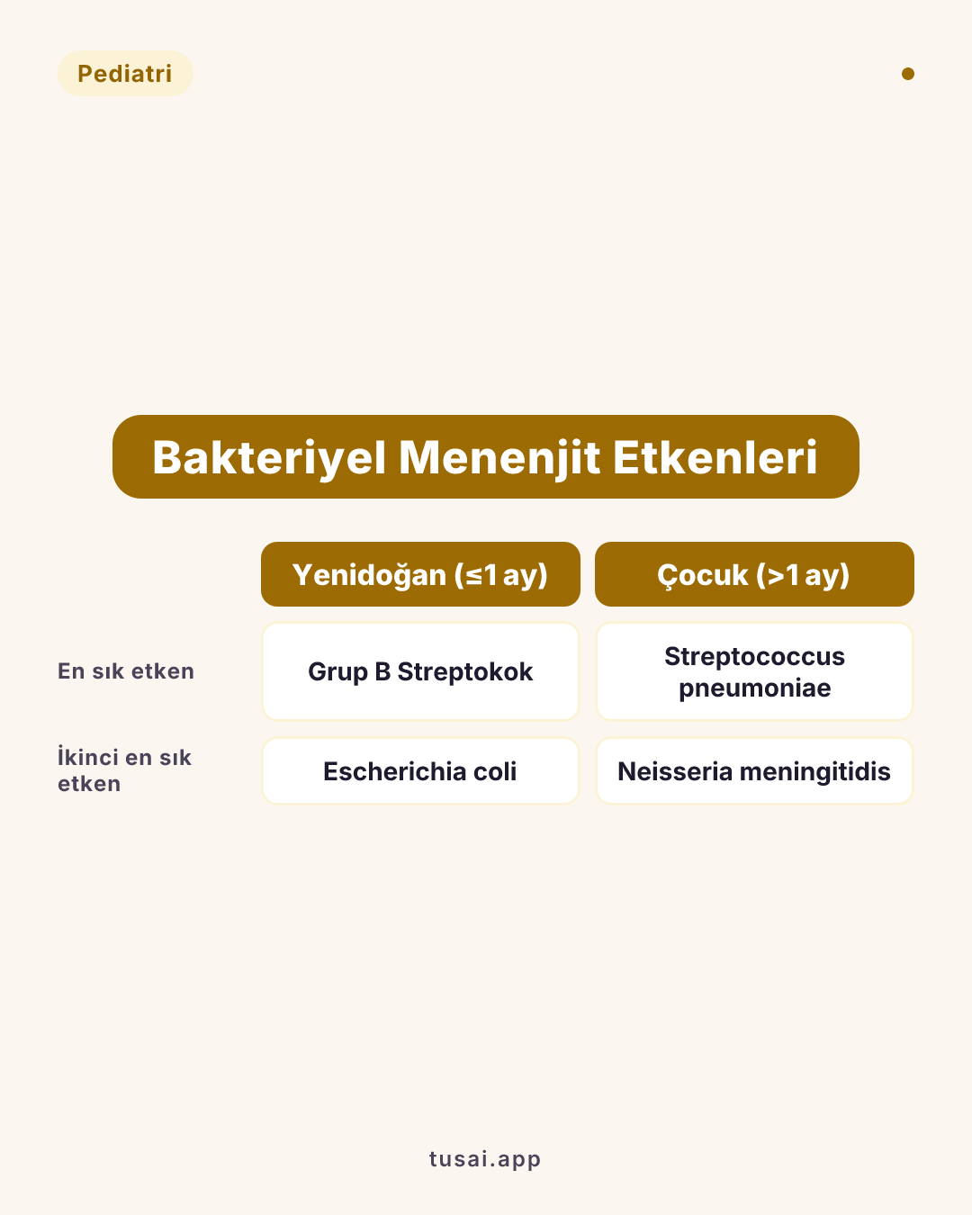 Çocukluk Çağı Menenjit Etkenleri: Yenidoğan dönemi (ilk 1 ay) bittikten sonra, çocuklarda en sık akut bakteriyel menenjit etkeni Streptococcus pneumoniae (Pnömokok), ikinci sıklıkta ise Neisseria meningitidis'tir. (İlk 1 ayda ise Grup B Streptokok ve E. coli en sıktır).